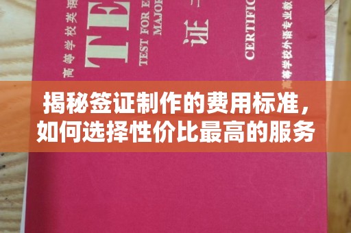 思茅揭秘签证制作的费用标准，如何选择性价比最高的服务？