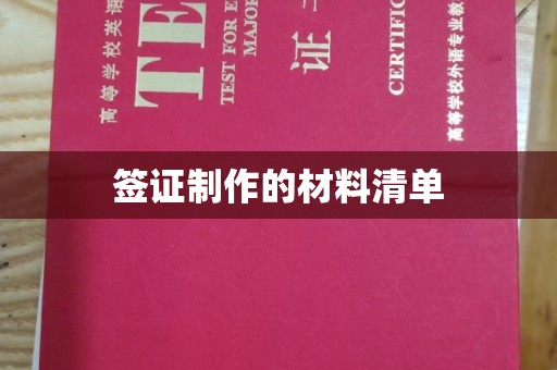 思茅签证制作的材料清单