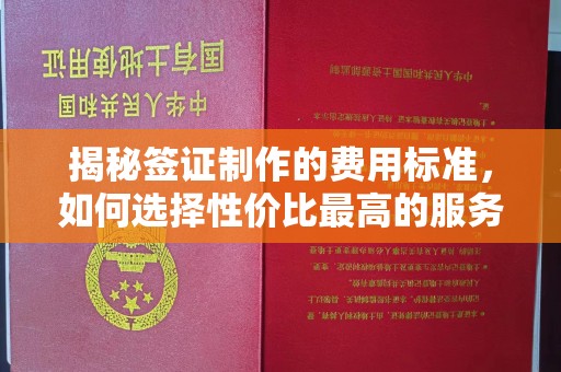 思茅揭秘签证制作的费用标准，如何选择性价比最高的服务？