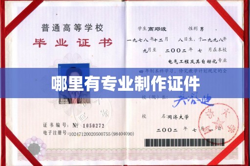 思茅哪里有专业制作证件