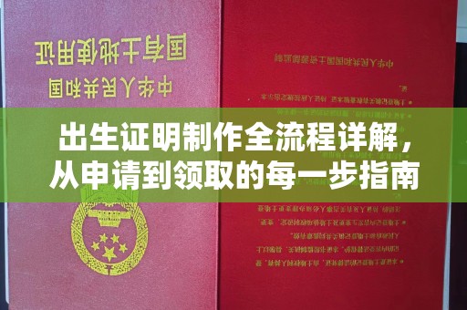 思茅出生证明制作全流程详解，从申请到领取的每一步指南