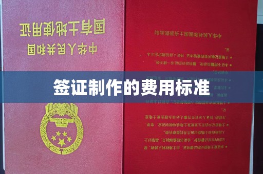 思茅签证制作的费用标准
