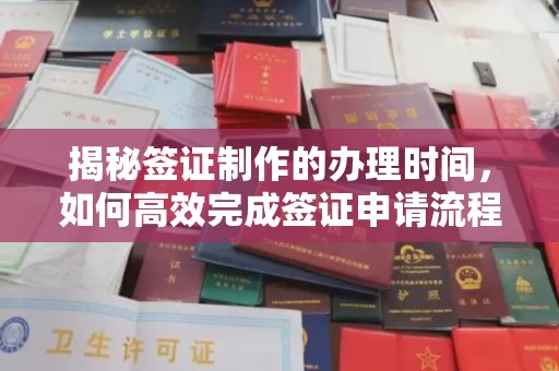 思茅揭秘签证制作的办理时间，如何高效完成签证申请流程