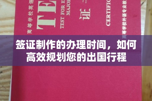 思茅签证制作的办理时间，如何高效规划您的出国行程