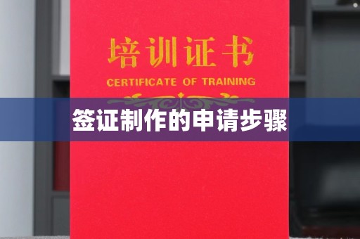 思茅签证制作的申请步骤
