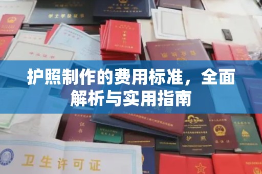 思茅护照制作的费用标准，全面解析与实用指南