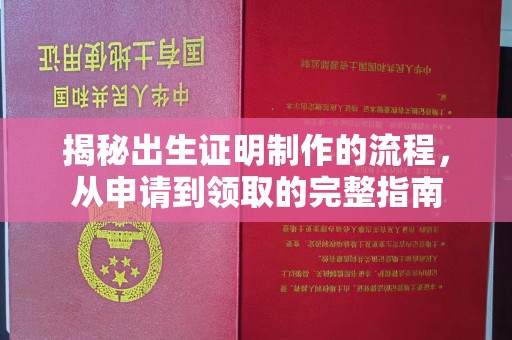 思茅揭秘出生证明制作的流程，从申请到领取的完整指南