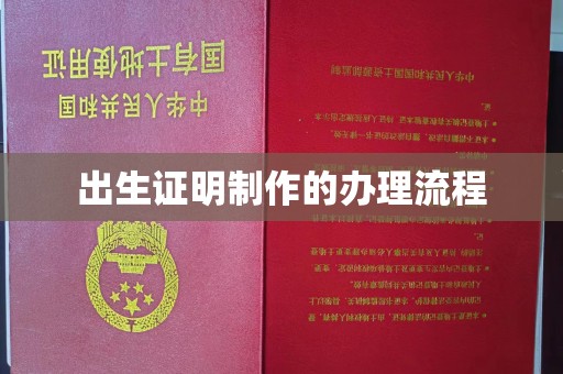 思茅出生证明制作的办理流程